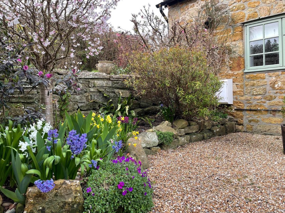 Chiddy Nook Cottage Chideock Exterior foto